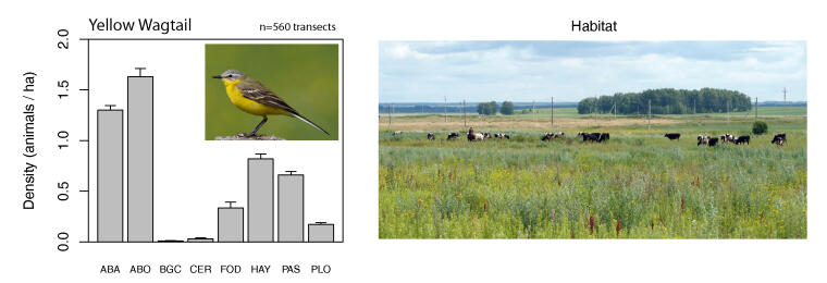 Population densities of Yellow Wagtail in different habitats in Western Siberia. Soviet crop fields and hay meadows, now abandoned and overgrown with dense vegetation (categories ABA and ABO), host the highest densities – a species clearly profiting from land-use change on the breeding grounds.