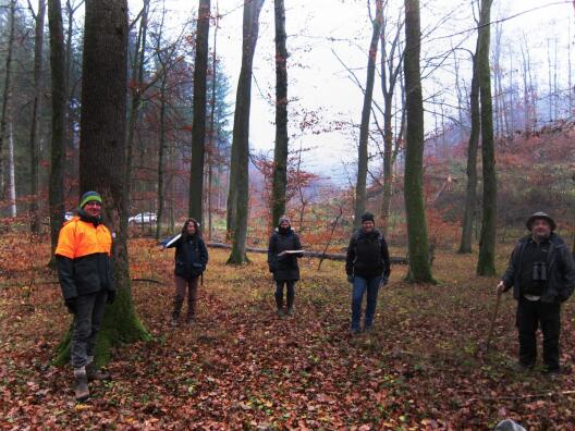 Excursion participants in the forest