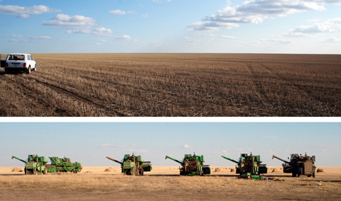 Huge contiguous areas of wheat crops stretch from horizon to horizon. (photos: Johannes Kamp)