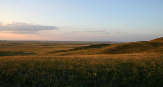 Kazakhstan Steppe Large