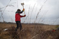 Emsdettener Venn Bohrstockeinschlag Klein
