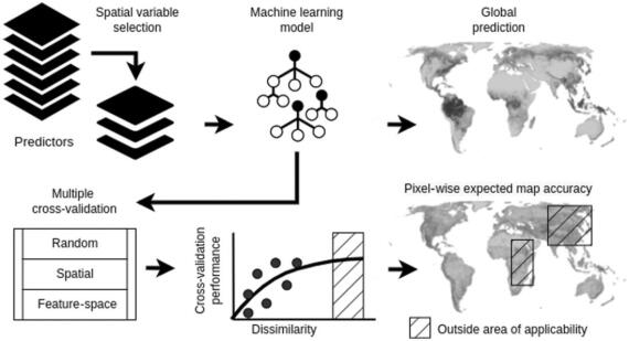 Workflow of the study