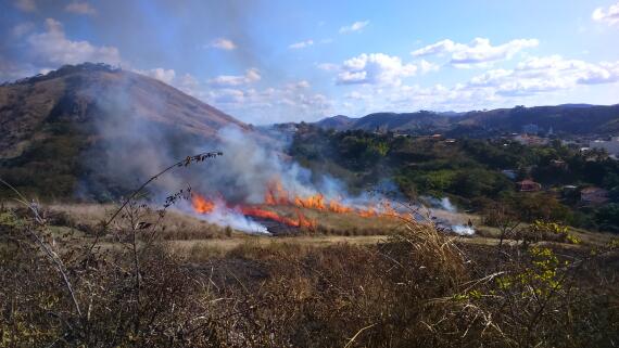 Fire in Cerrado