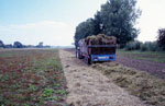 hay transfer at the upper Rhine valley