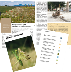 Current Topics in Animal Ecology_Vol1