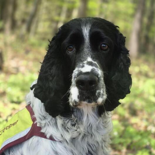 A picture of Peer Emil Wilhelmi