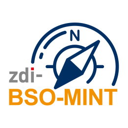 zdi-BSO-MINT