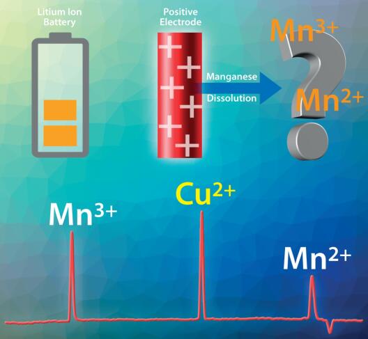 Cover Page Electrophoresis