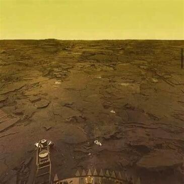 The surface of Venus