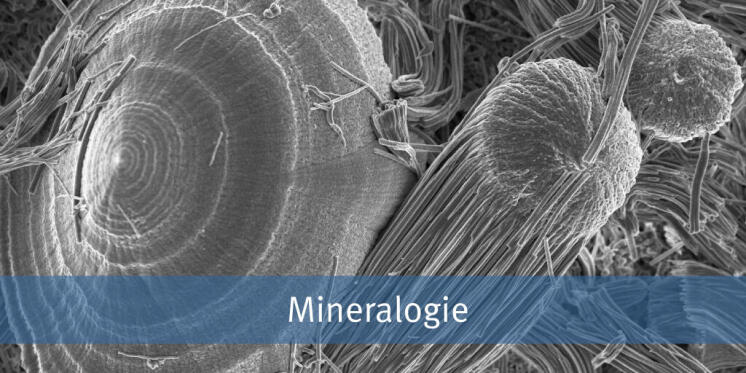 Universität Münster Institut für Mineralogie Startseite