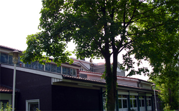 Institut für Musikwissenschaft in der Philippistraße, Bibliothek und Musikkapelle