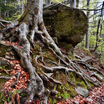 Titelbild Für Visual Flyer Etc Kopie