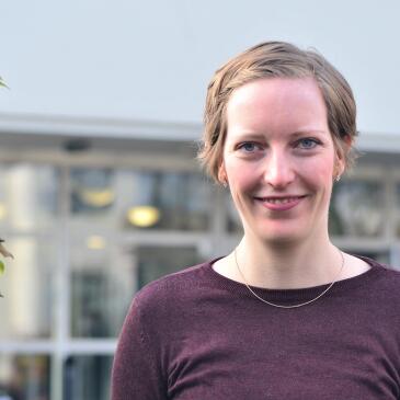 Lehrstuhl Website Neu