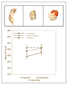 Liepelt-intext-3-h166