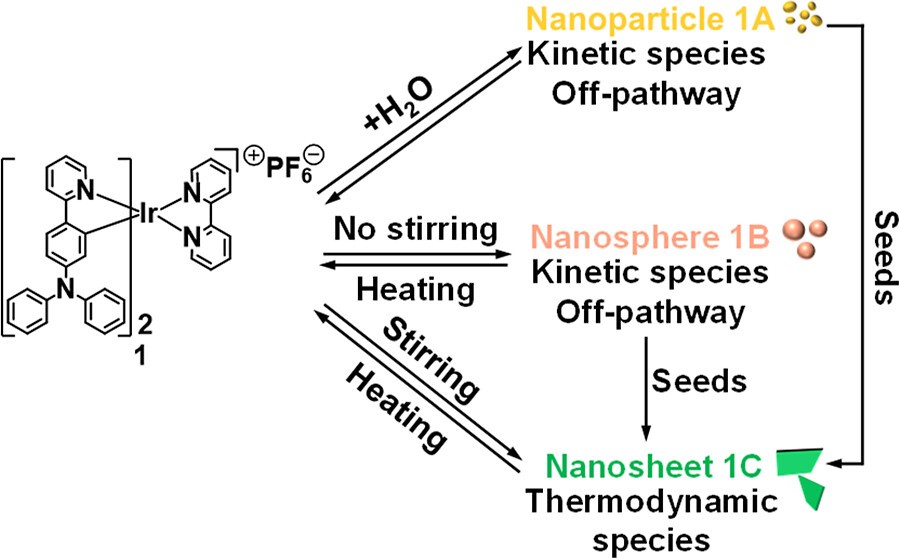 120 J. Am. Chem. Soc. 2026