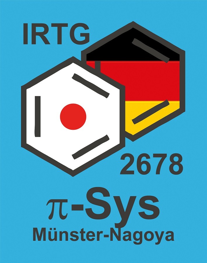 Irtg2678