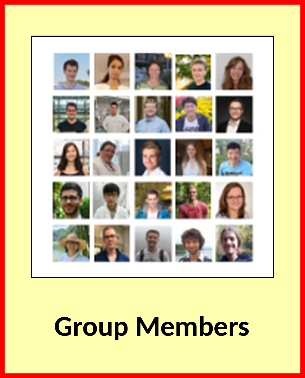 Group