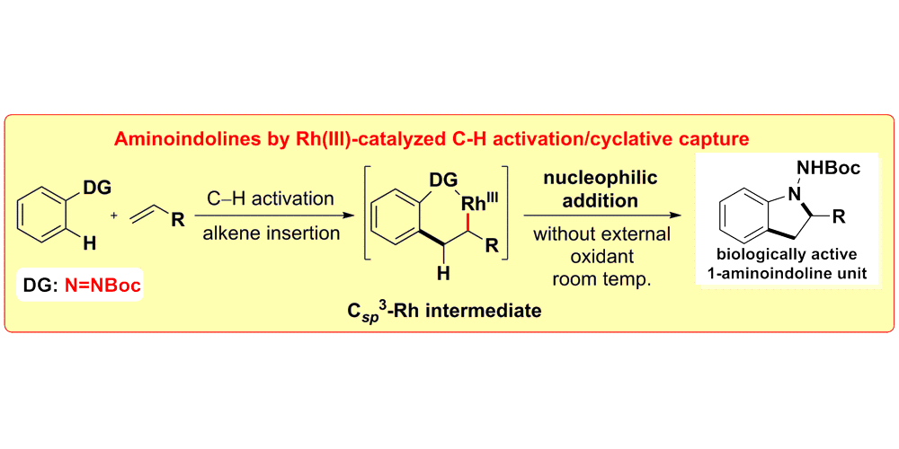 C H Activation