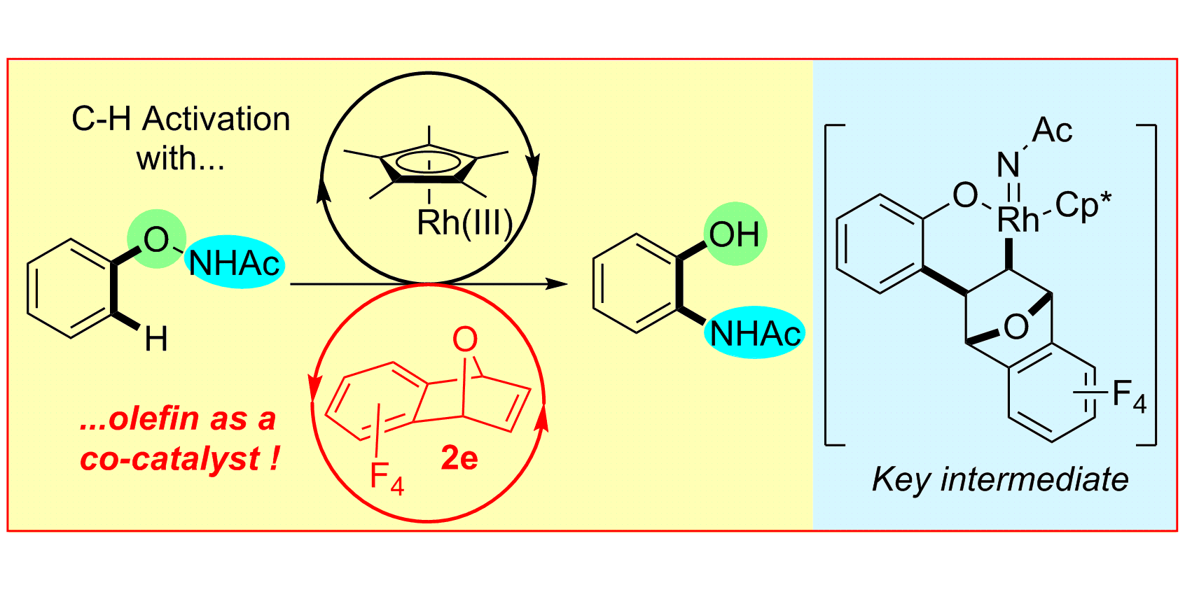 C H Activation