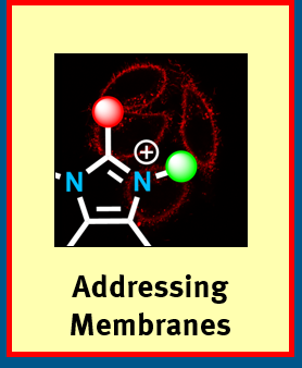 Adressing Membranes