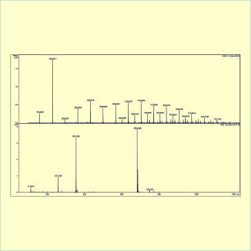 Data Formats