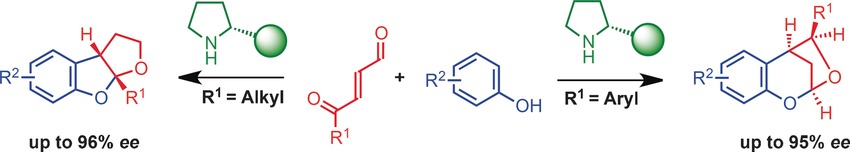 Ntoc 04