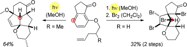 Ntoc 10
