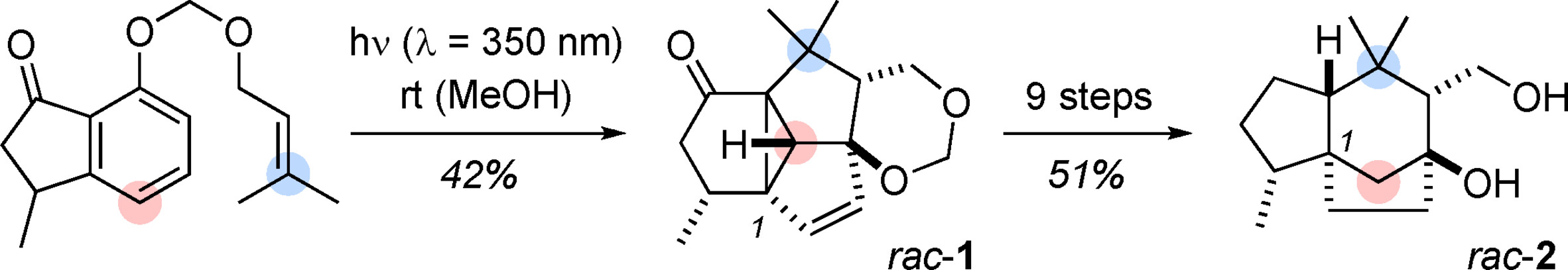 Ntoc 12