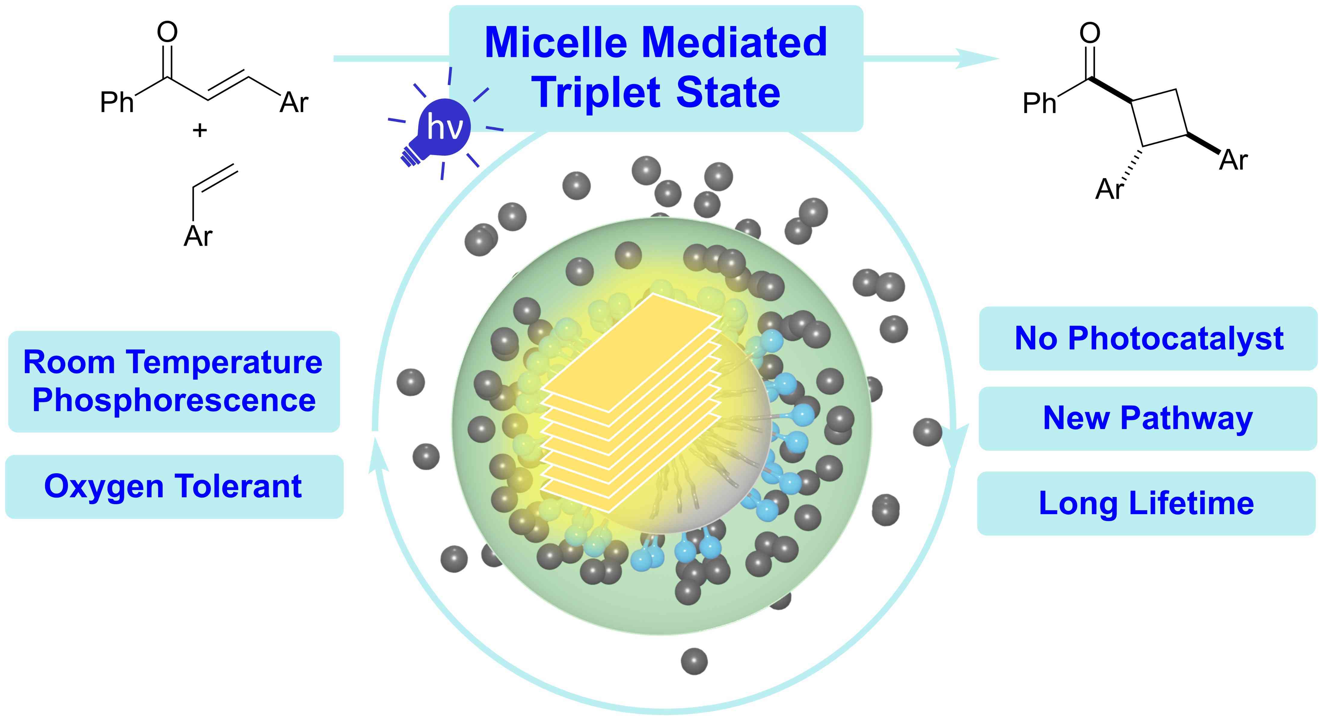 Ntoc 25