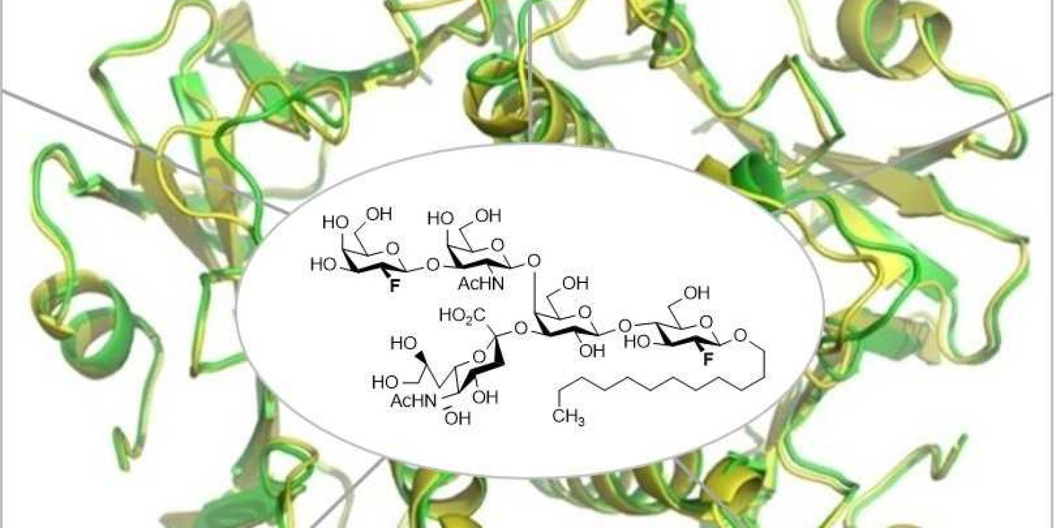 14182-3zadk1ai-webl_2x