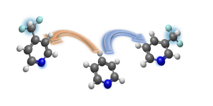 Universität Hamburg Institut Für Organische Chemie Organisch-Chemisches Institut der Uni Münster