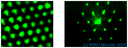 Hexagonales Muster in Nah- und Fernfeld