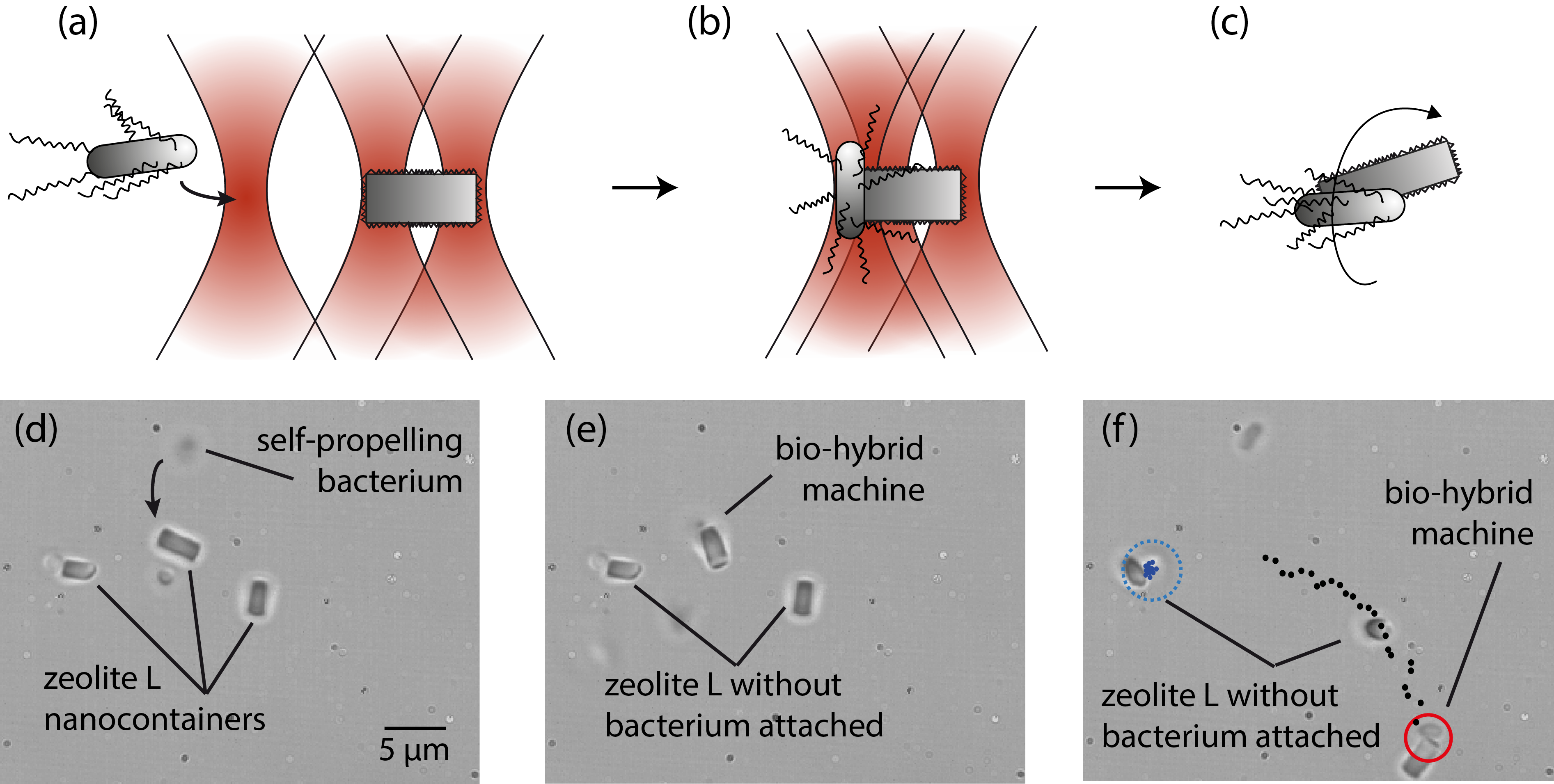 Unterkapitel-functional Assembly