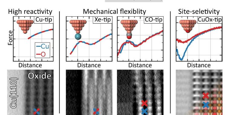 Challenging four common AFM tip-terminations: The high rigidity and moderate chemical passivation of CuOx-tips provide site-selective contrast on a metal-oxide.