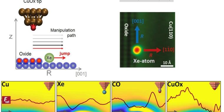 The force to move an atom: Mechanical and chemical interactions in atomically defined contacts by atomic force microscopy