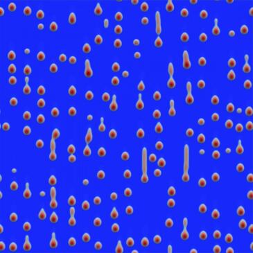 9443-p9wus2pz-newsml