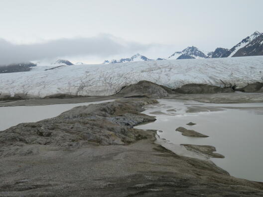 Großer Rücken aus anstehendem Gestein, der sich bis unter den Comfortlessbreen Gletscher verfolgen lässt