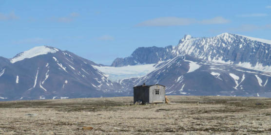 Spitzbergen 2017