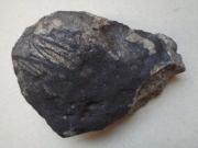 Das fast ein Kilogramm schwere Stück des Renchen-Meteoriten 