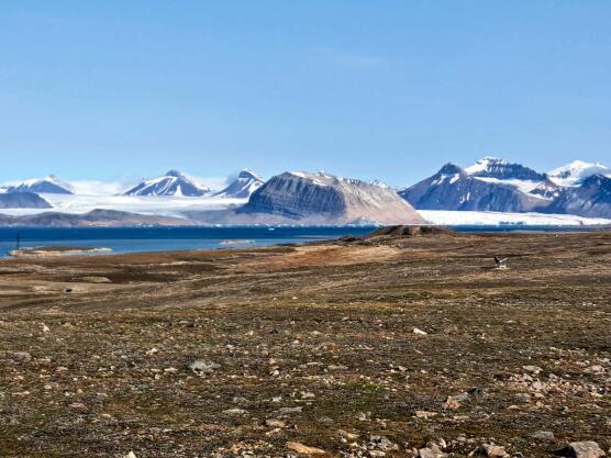Spitzbergen 2026