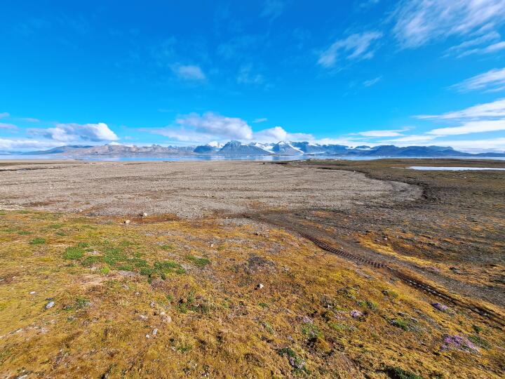 Weites Land