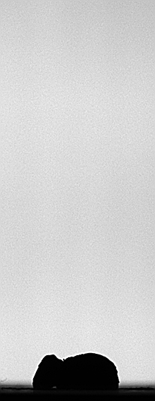 gif Bild von einer Kollision eines Staub-Pebbles auf Probenmaterial