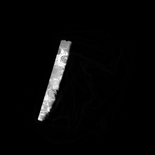 µ-CT of a cluster chondrite