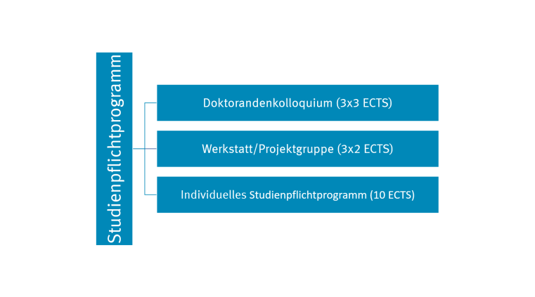 2 - Studienpflichtprogramm