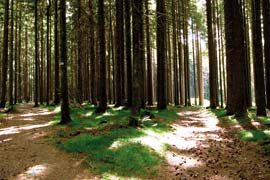 News Tagung Letzte Dinge