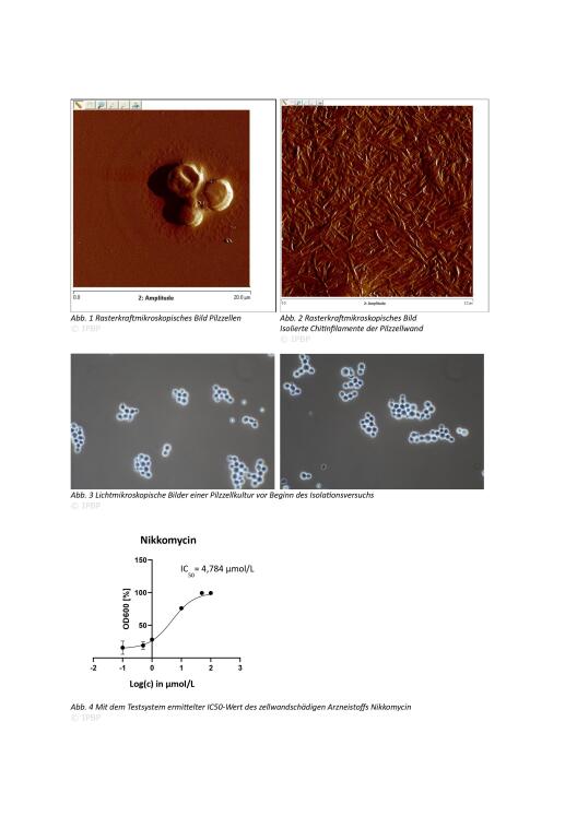 Anhang zum Abschlussbericht des Studierendenprojektes von Anton Zürbig, © IPBP