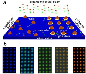 Functionalization of a gold dot-structured surface with different organic molecules.