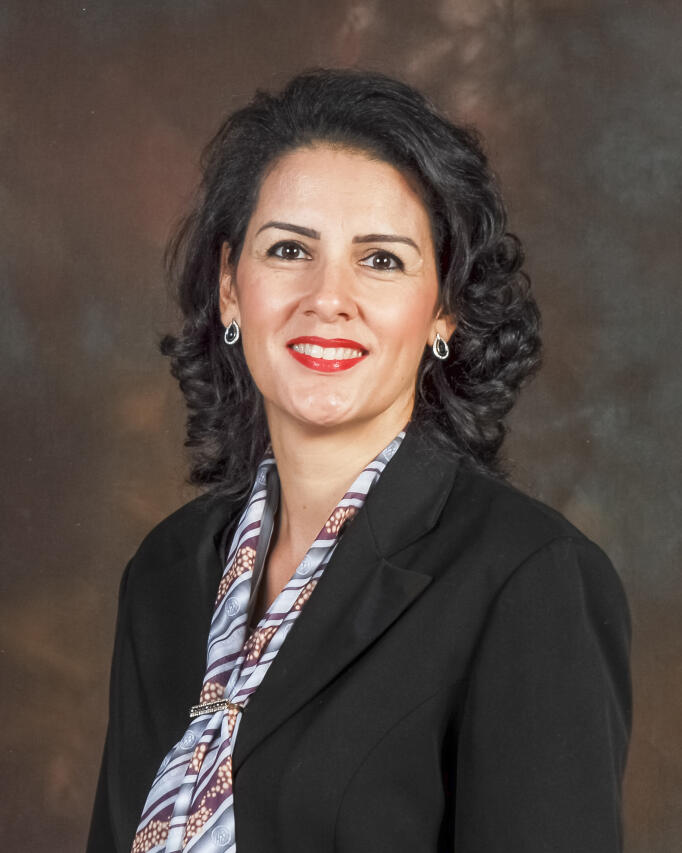 Brazilian guest Professor