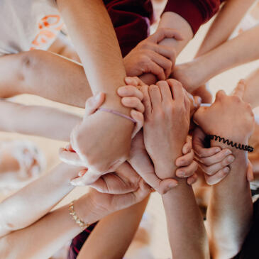 Bildung und Kultur im Sport