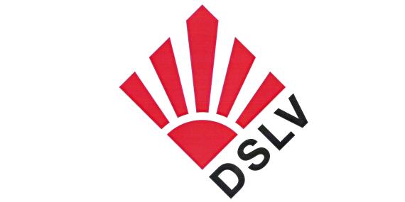 Logo Dslv